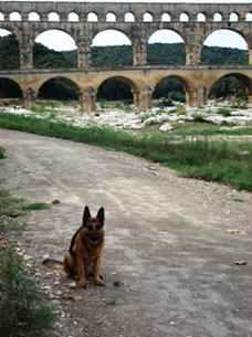 lotte at pont du gard